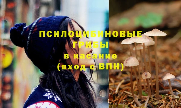 твердый Елабуга