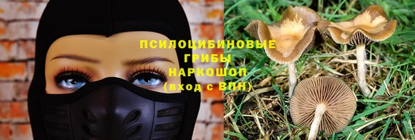 твердый Елабуга